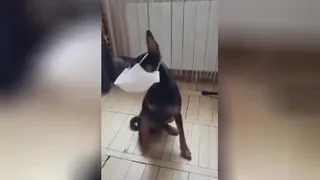 طنز😀😀😀