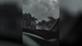 مهدی احمدوند