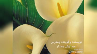 معنایی برای فردا