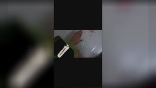 اسکلت