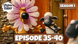 Shaun the Sheep Season 1 Episode 35-40 | Back to School 🔔🚌