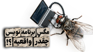مگسِ برنامه‌نویس؛ شوخی اینترنتی یا انقلاب علمی؟