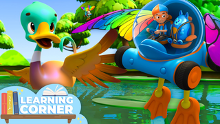 What Makes Ducks Float?🦆 | Blippi Wonders | Learning Corner 📚 | Educational Videos For Kids