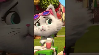 استراحت چای شیرین و فوق‌العاده بانمک با گربه‌ها! | ۴۴ گربه