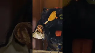 جشنواره شگفت‌انگیز رامبد جوان