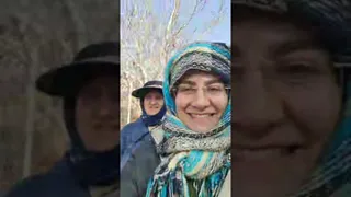 پخش زنده از باغ زیبا برای شما دوستان عزیز