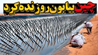 چین با روشی ساده و عجیب در یک سال بیابان را به جنگل تبدیل کرد — دنیا شگفت‌زده شد