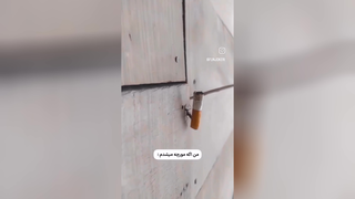 اگه مورچه بودم