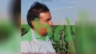 استفاده از کود ارگانیک-بیولوژیک برند گابریست