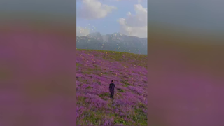 طبیعت