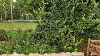 طبیعت زیبای باغهای هشتگرد