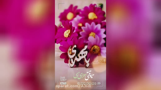 امام زمان مهدی ماعود