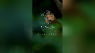 7 قانون برای یک زندگی شاد و زیبا و حال خوب