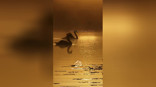 فزون طلب مباش - سوره مدثر آیات 6-7 (قرآن مهر)