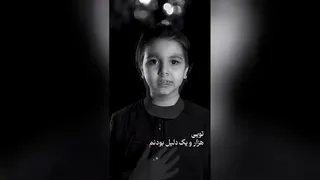 ویدیو-آهنگ «وطن» از علی زندوکیلی