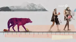 تریلر فیلم درون ذهن سگ ها Inside the Mind of a Dog