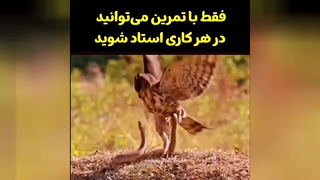 انگیزشی، کسب و کار