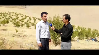 نصرت الله رشیدی کارآفرین لرستانی