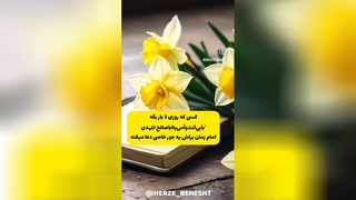 مهدی جانم