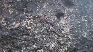 کارشناسی آثار گنج یابی