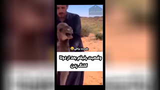 وقتی رفیقم میگه منو ببر حفاری گنج