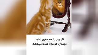 نکات کلیدی