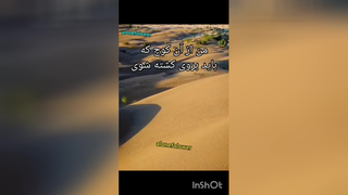 شاعرانه