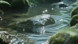 چرا زندگی بد نیست… ولی ازش لذت نمی‌بریم؟ | حقیقتی که کسی نمی‌گه»