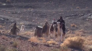 فیلم سینمایی ملکه صحرا Queen of the Desert 2015 دوبله فارسی