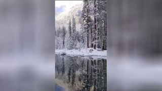 چهارفصل زیبا