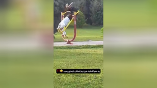 راهش همینه