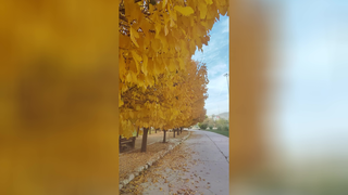 طبیعت چشم نواز