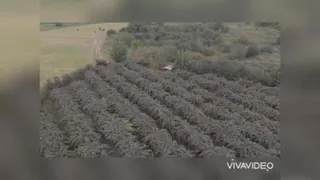 ویلا و زمین فروشی در عباس آباد
