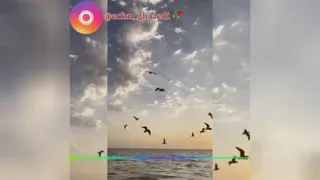 کلیپ احساسی خدایا یه کاری بکن . آهنگ غمگین