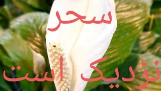 دنیای موزیک