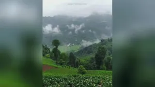• هوای بارونی و حسِ خوبش ❤️🌿
