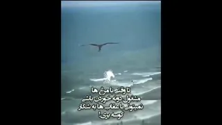 یه عقاب باش...