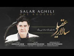 سالار عقیلی: خاطرات روزهای خاص