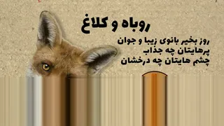 ماجراجویی روباه و کلاغ - حکایت های ازوپ