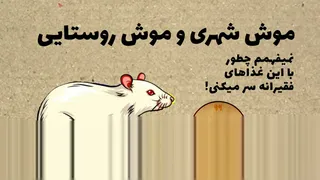 موش شهری و موش روستایی - داستانی جذاب از حکایات ازوپ