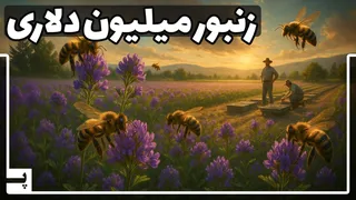 زنبور خاصی که اسمش را نشنیده‌اید اما میلیون‌ها دلار ارزش دارد