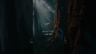 غزلی از مولانا در مورد عبور از عقل