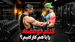 کدام دو عضله را با هم تمرین کنیم؟