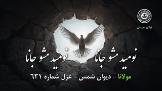 آهنگ نومید مشو جانا | غزل شماره 631 مولانا در قالب موسیقی