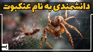 چگونه تار عنکبوت، ماده‌ای قوی‌تر از فولاد و هوشمند، کار می‌کند؟