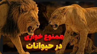 هم‌نوع‌خواری در طبیعت: از حیوانات تا انسان — آیا طبیعی است؟