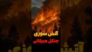 «پارک ژوراسیک» ایران در آتش؛ آیا جنگل‌های هیرکانی نابود می‌شوند؟