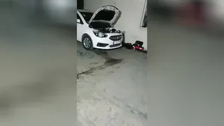 رازهای عجیب شاهین