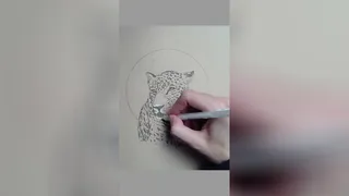 آرامش مانند یک جگوار - طراحی با خودکار