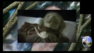 کشف جسد زن بالغ ۸۰۰ میلیون ساله!